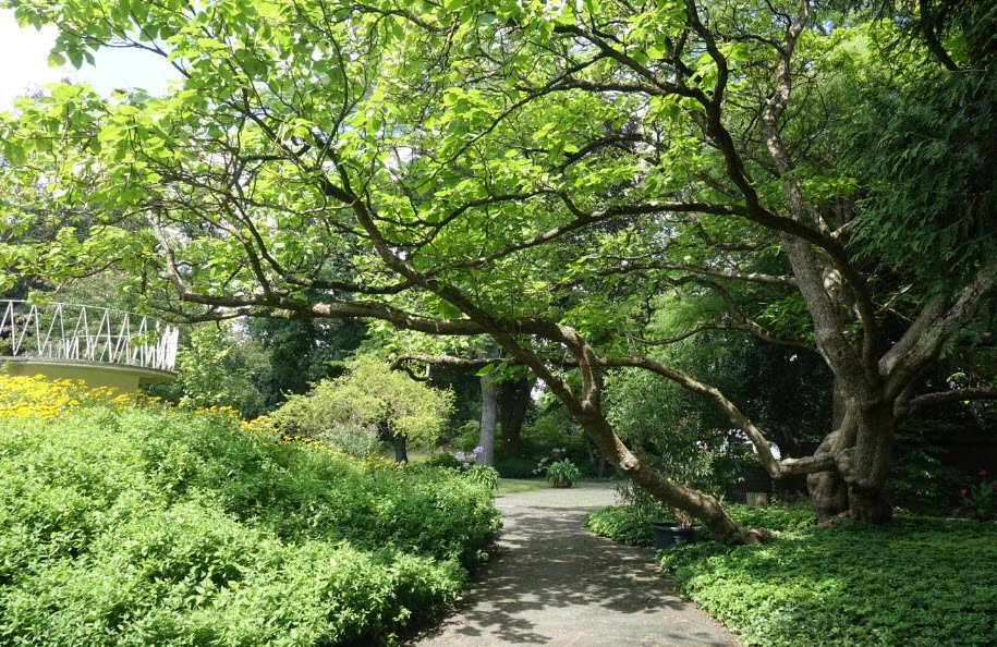 Neuss Botanical Garden, Neuss, Germany, Germany